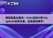 模型轻量化魔法:Ciuic边缘计算+DeepSeek剪枝方案,边缘结构模型!