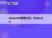 deepseek使用方法，deepcare！