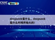 deepseek是什么，deepseek是什么时候开始火的！