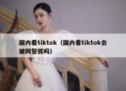 国内看tiktok（国内看tiktok会被网警抓吗）