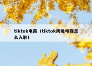 tiktok电商（tiktok跨境电商怎么入驻）