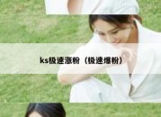 ks极速涨粉（极速爆粉）
