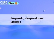 deepseek，deepseekmodel1曝光！