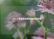 Ollama 零基础部署搭建实战指南