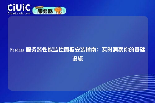 Netdata 服务器性能监控面板安装指南：实时洞察你的基础设施
