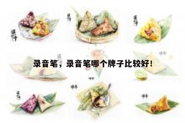 录音笔，录音笔哪个牌子比较好！ 第1张