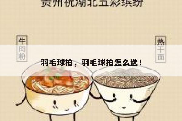 羽毛球拍，羽毛球拍怎么选！ 第1张