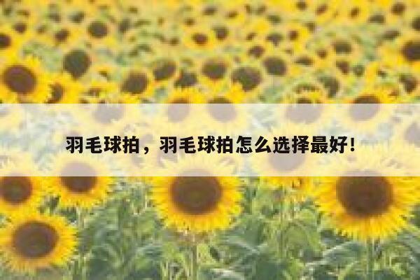 羽毛球拍，羽毛球拍怎么选择最好！ 第1张
