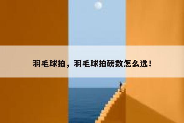 羽毛球拍，羽毛球拍磅数怎么选！ 第1张
