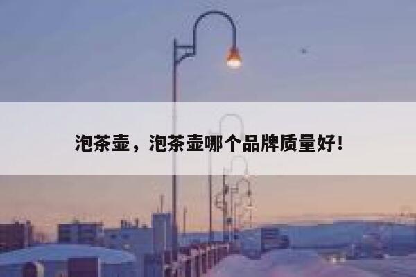 泡茶壶，泡茶壶哪个品牌质量好！ 第1张