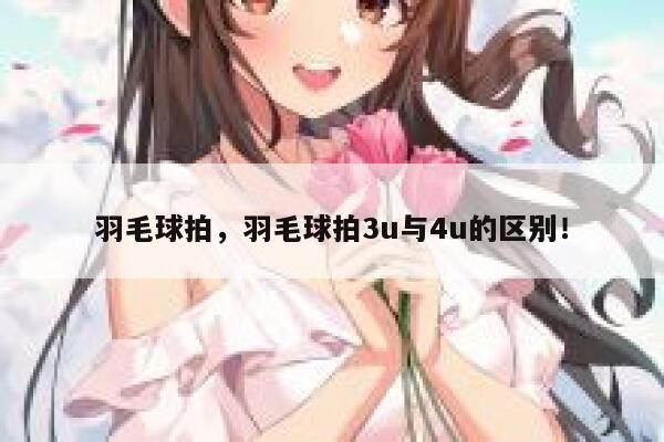 羽毛球拍，羽毛球拍3u与4u的区别！ 第1张