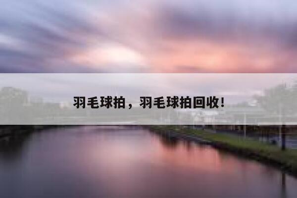 羽毛球拍，羽毛球拍回收！ 第1张